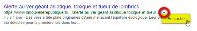 cache Google pour lire un article de la NR