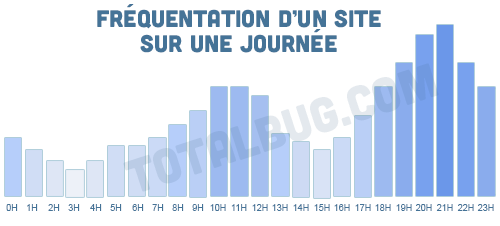 fréquentation d'un site internet sur une journée